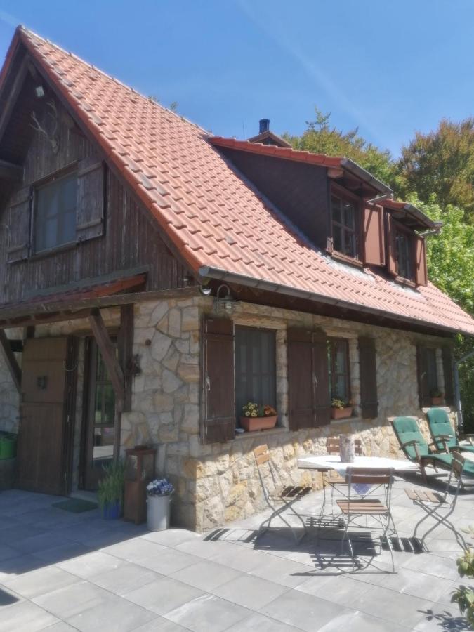 Jagdhaus In Der Rhoen In Voelliger Alleinlage Gersfeld Exterior foto