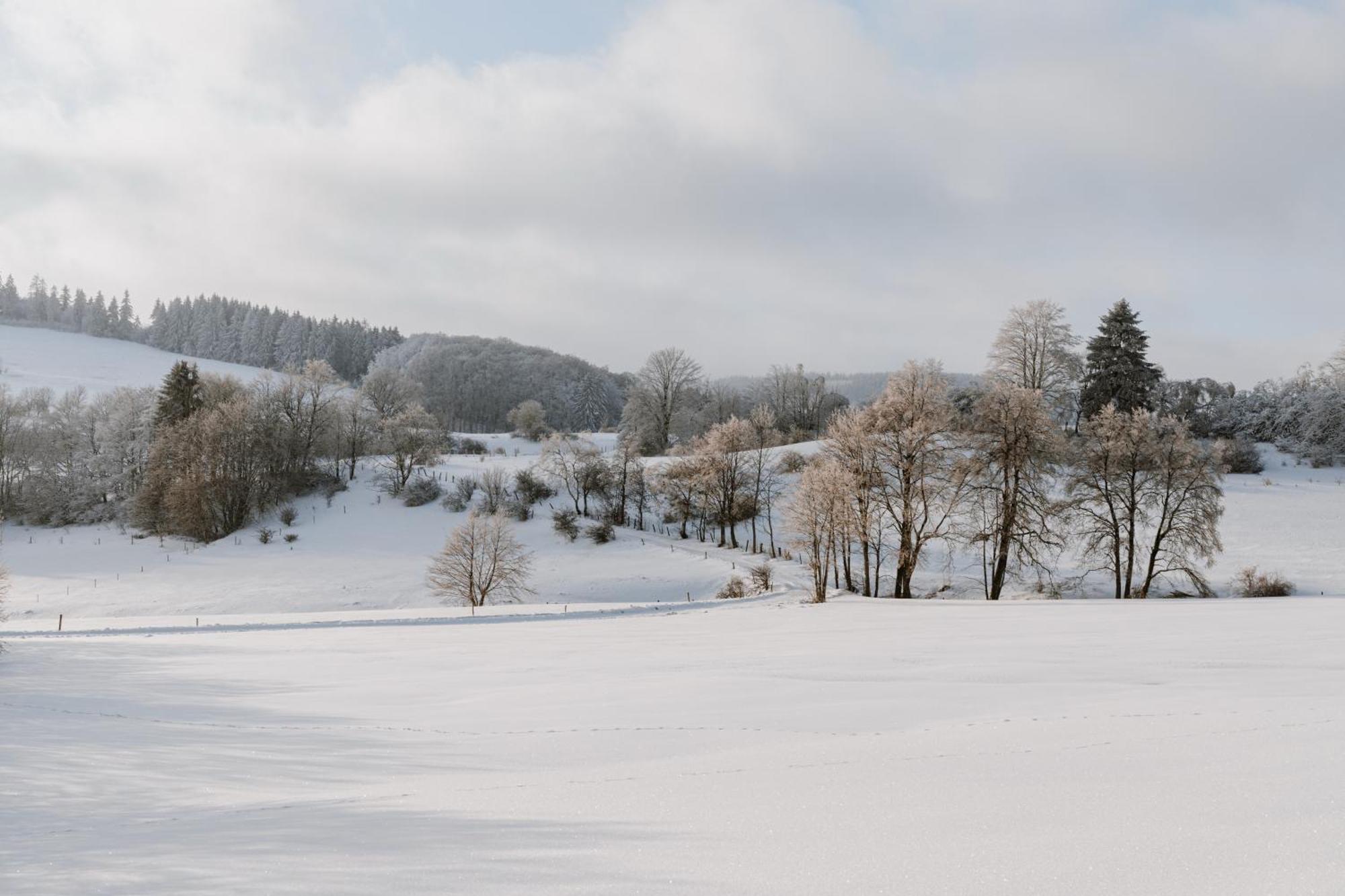 Jagdhaus In Der Rhoen In Voelliger Alleinlage Gersfeld Exterior foto