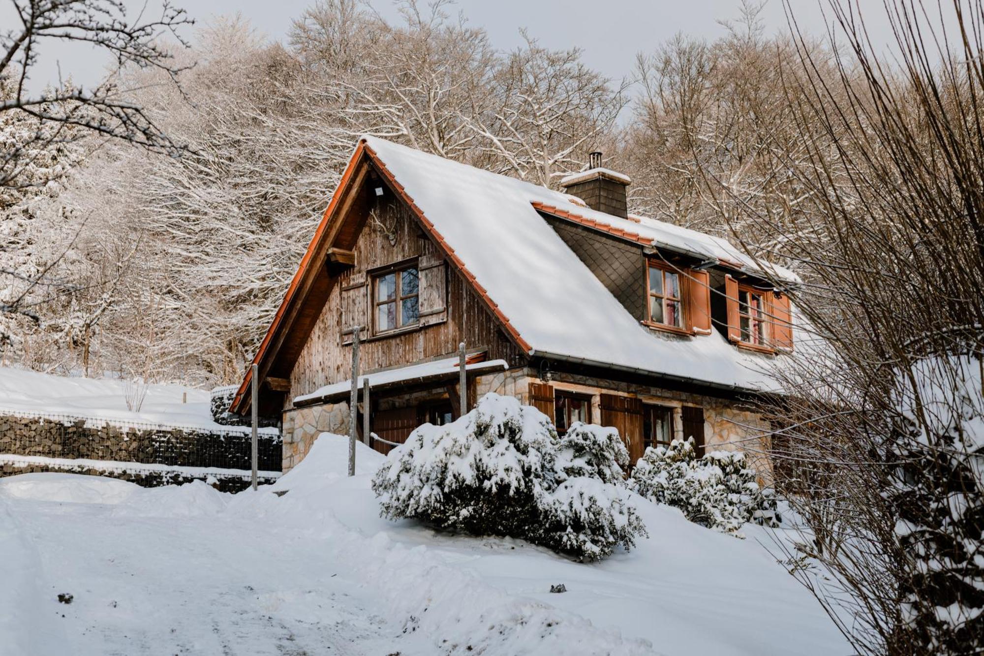 Jagdhaus In Der Rhoen In Voelliger Alleinlage Gersfeld Exterior foto